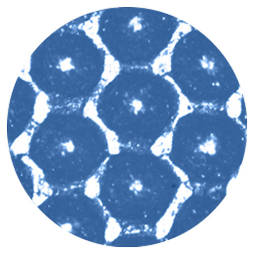pamarco-dropdown-ezflo-pattern pamarco ezflo