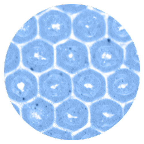 pamarco-dropdown-thermaflo-pattern pamarco thermaflo